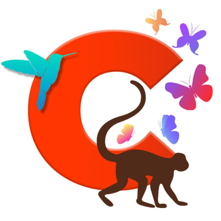 Colombia Magic Experience